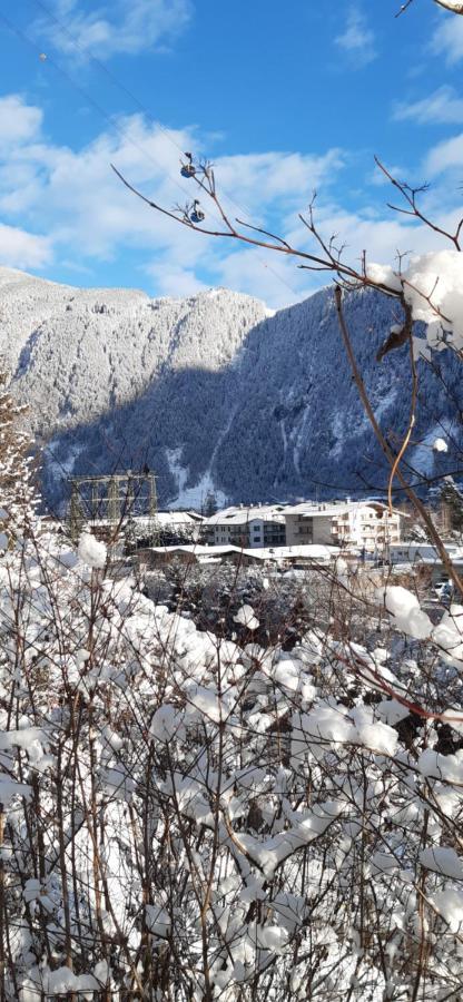 Haus Bergfriede Otel Mayrhofen Dış mekan fotoğraf